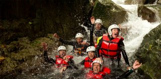Adrenalin Nedir?